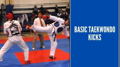 Basic Taekwondo Kicks