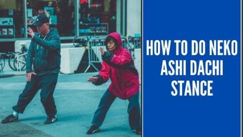 How to do Neko Ashi Dachi Stance