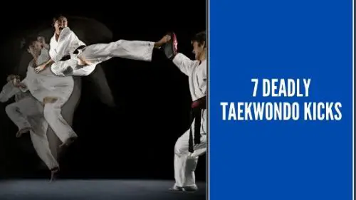 Quick Overview) Top Taekwondo Kicks to