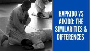 Hapkido and Aikido