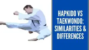 Hapkido and Taekwondo