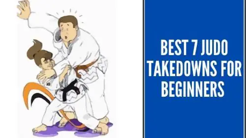 Judo Takedowns